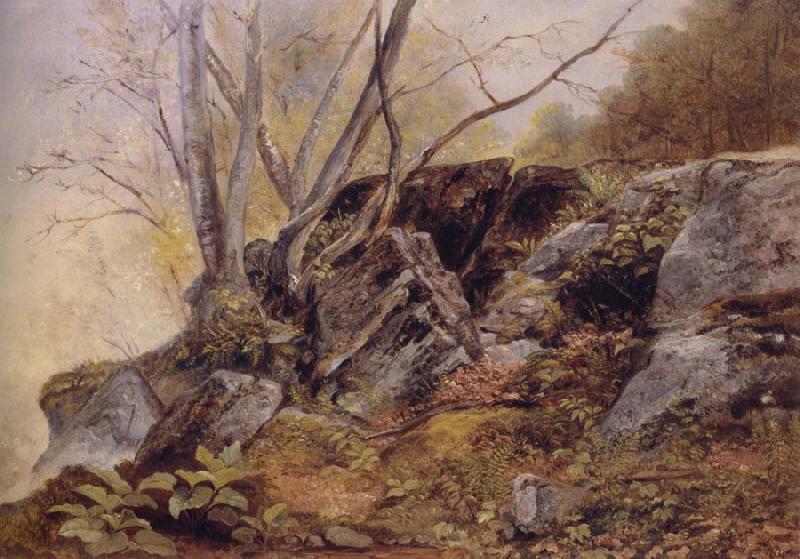 Asher Brown Durand Study from Nature,Bronxville